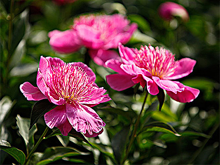 D:\wwwroot\E30\public\upload\article\2018\07\03\0b7061923ee04510f53540b601f593f8.jpg D:\wwwroot\E30\public\upload\article\2018\07\03\0b7061923ee04510f53540b601f593f8.jpg