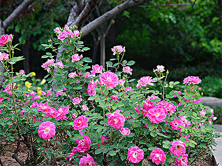 D:\wwwroot\E30\public\upload\article\2018\07\03\23ae45c2dc6abe5eb0dd457409fc8cd5.jpg D:\wwwroot\E30\public\upload\article\2018\07\03\23ae45c2dc6abe5eb0dd457409fc8cd5.jpg