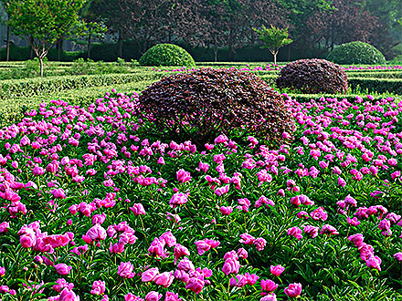 D:\wwwroot\E30\public\upload\article\2018\07\03\9c45dffac73101c51d5e34824768f0ad.jpg D:\wwwroot\E30\public\upload\article\2018\07\03\9c45dffac73101c51d5e34824768f0ad.jpg